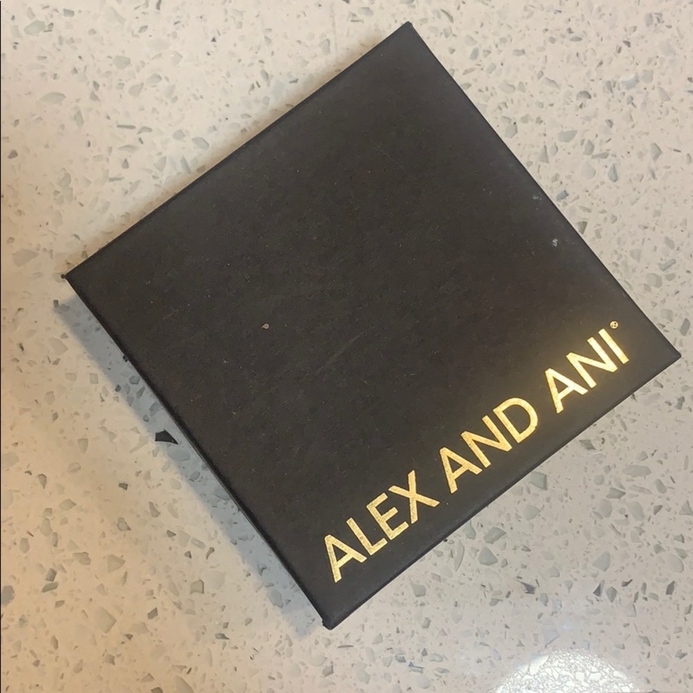Alex and ani box